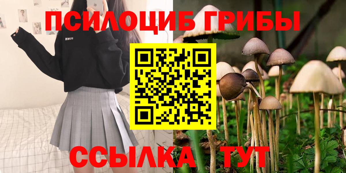Галлюциногенные грибы Psilocybine cubensis Кунгур