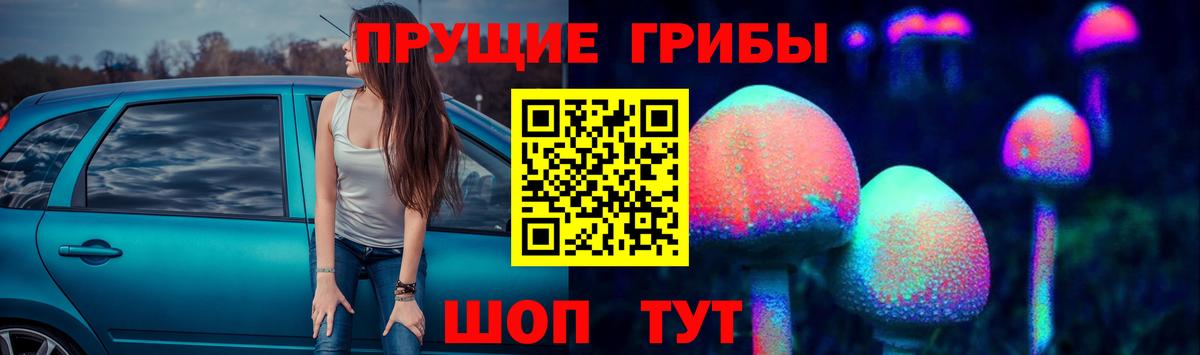 Галлюциногенные грибы GOLDEN TEACHER  Вход с VPN  Кунгур  Псилоцибиновые грибы мицелий 